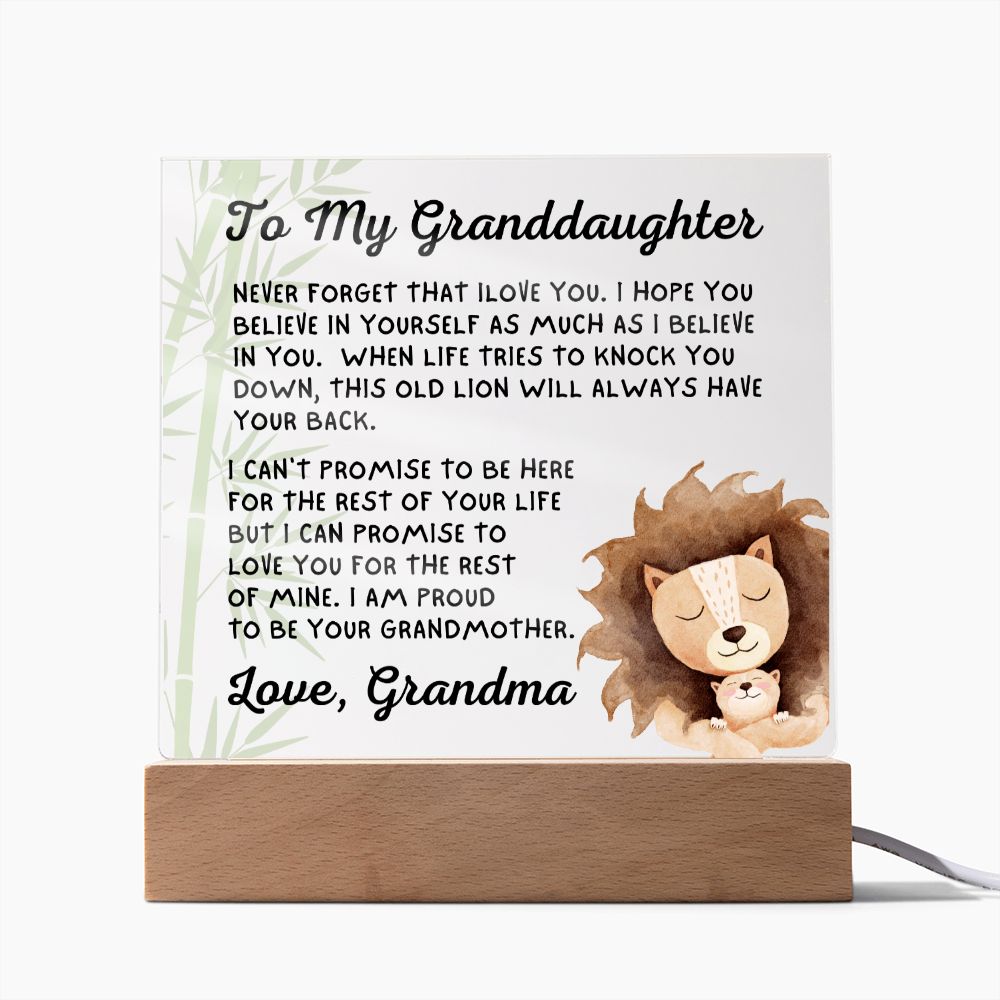 Gift for Granddaugher | Promise Acrylic Plaque  007-ACS